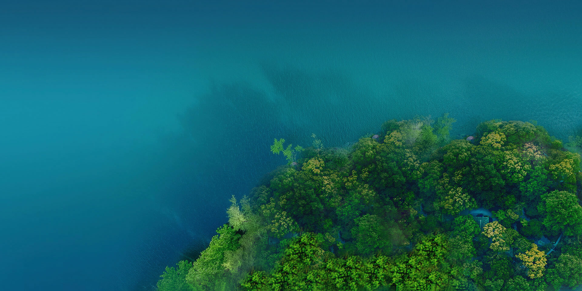 关于青青草免费在线观看视频