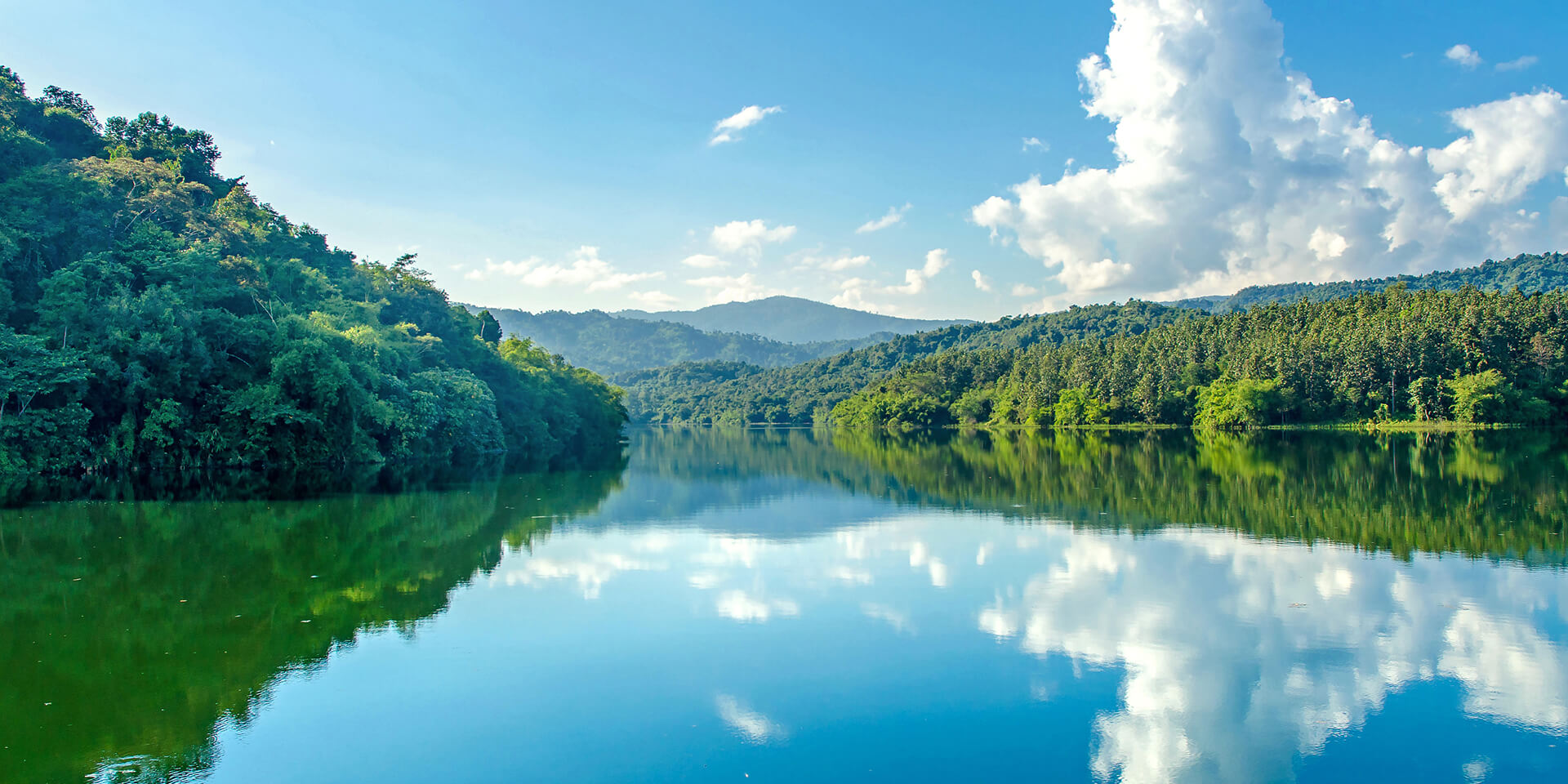 青青草视频在线免费观看养分检测